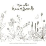 Ausmalbilder für Kräuter