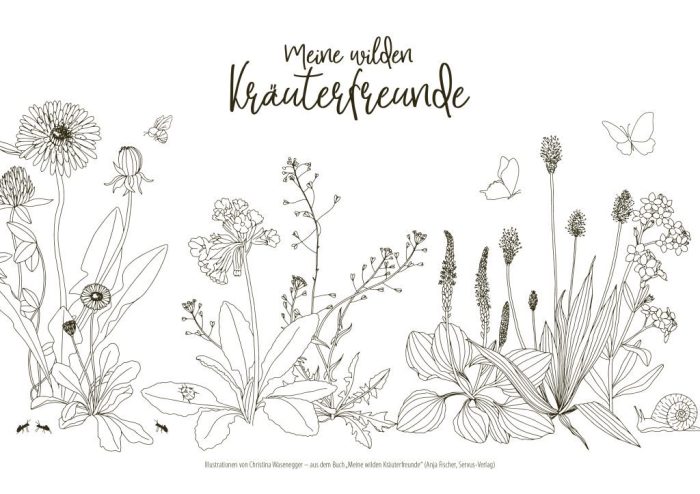 Kräuterfreunde – Ausmalbild - HERZanHERZ Ausmalbilder für Kräuter