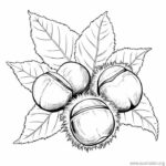 Ausmalbilder für Herbstlaub