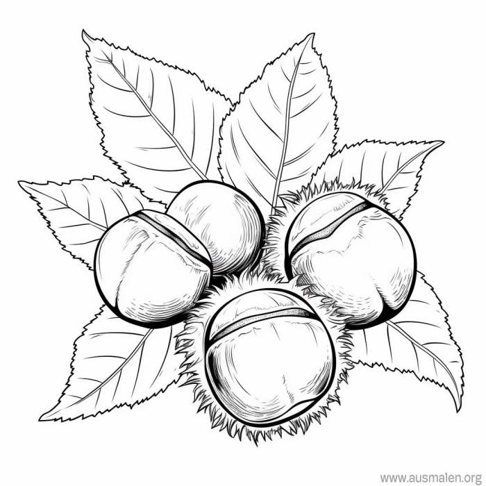 Ausmalbilder für Herbstlaub
