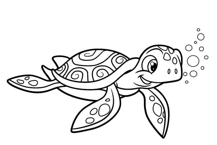 Ausmalbilder für Schildkröten